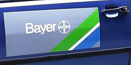 j�rm�m�gnes - Bayer